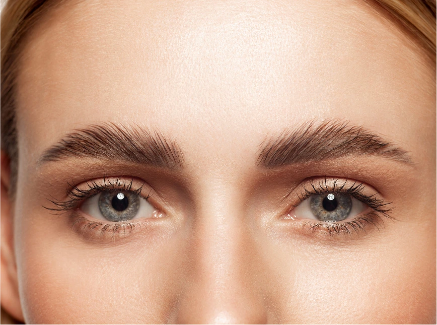 Candidates for a Brow Lift Banner